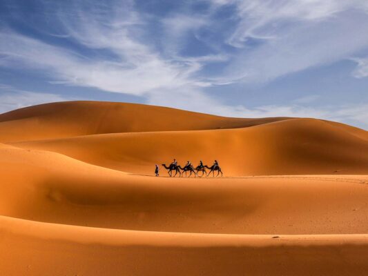 Experience the thrill of the Sahara desert on the back of a majestic camel, as the sun sets over the endless dunes of golden sand. Feel the rhythm of the camel's gentle gait and the warmth of the desert breeze on your skin as you ride through the vast expanse of this breathtaking landscape.